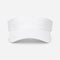 Visors