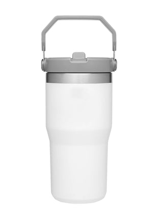 Stanley IceFlow™ 1.0 Flip Straw Tumbler 20oz - Polar | Stanley