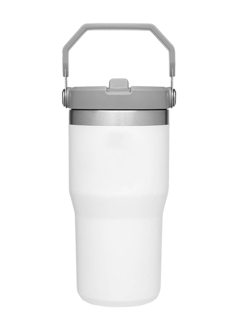 Stanley IceFlow™ 1.0 Flip Straw Tumbler 20oz - Polar | Stanley