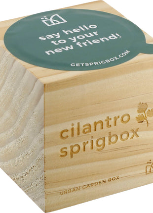 Sprigbox Cilantro Grow Kit