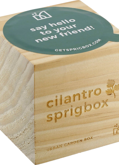 Sprigbox Cilantro Grow Kit