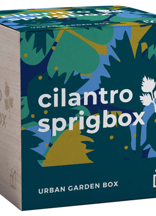 Sprigbox Cilantro Grow Kit - Wood | Sprigbox