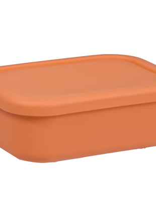 Silicone Food Storage Box with Air Valve 24oz