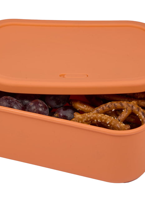 Silicone Food Storage Box with Air Valve 44oz