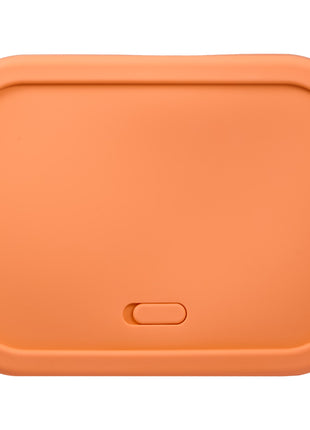 Silicone Food Storage Box with Air Valve - Set of