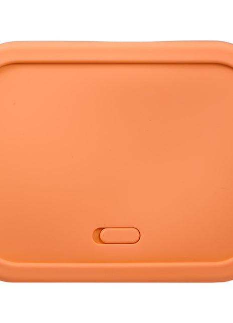 Silicone Food Storage Box with Air Valve - Set of