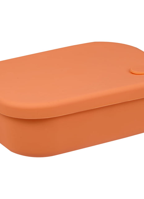 Silicone Bento Box with Air Valve