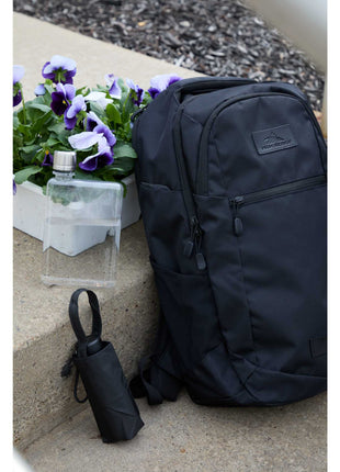 High Sierra Stoneway Backpack