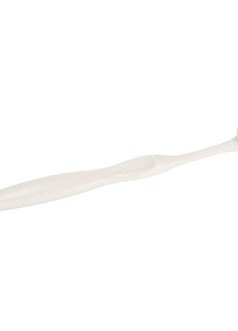Value Adult Wellness 3-Piece Kit