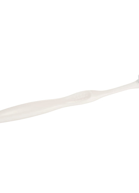 Value Adult Wellness 3-Piece Kit