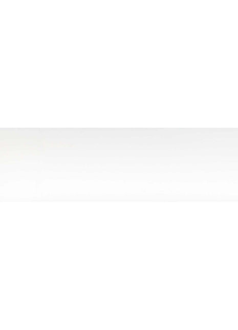 Value SPF 15 Lip Balm - No Flavor | PromoEO
