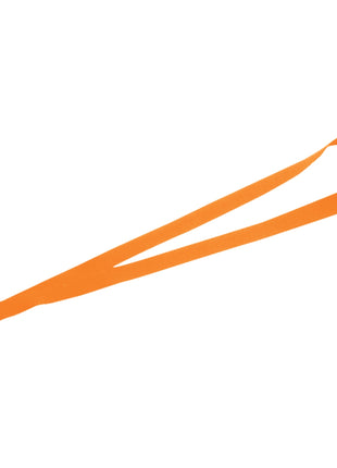 Lanyard with Lobster Clip - Orange | PromoEO