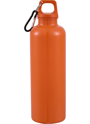Race 25oz  Recycled Bottle with Carabiner
