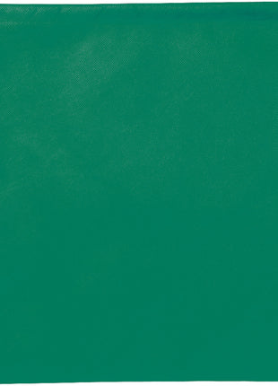 Evergreen Non-Woven Drawstring Bag - Green | PromoEO