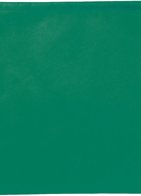 Evergreen Non-Woven Drawstring Bag - Green | PromoEO