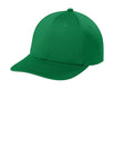 True Kelly Green